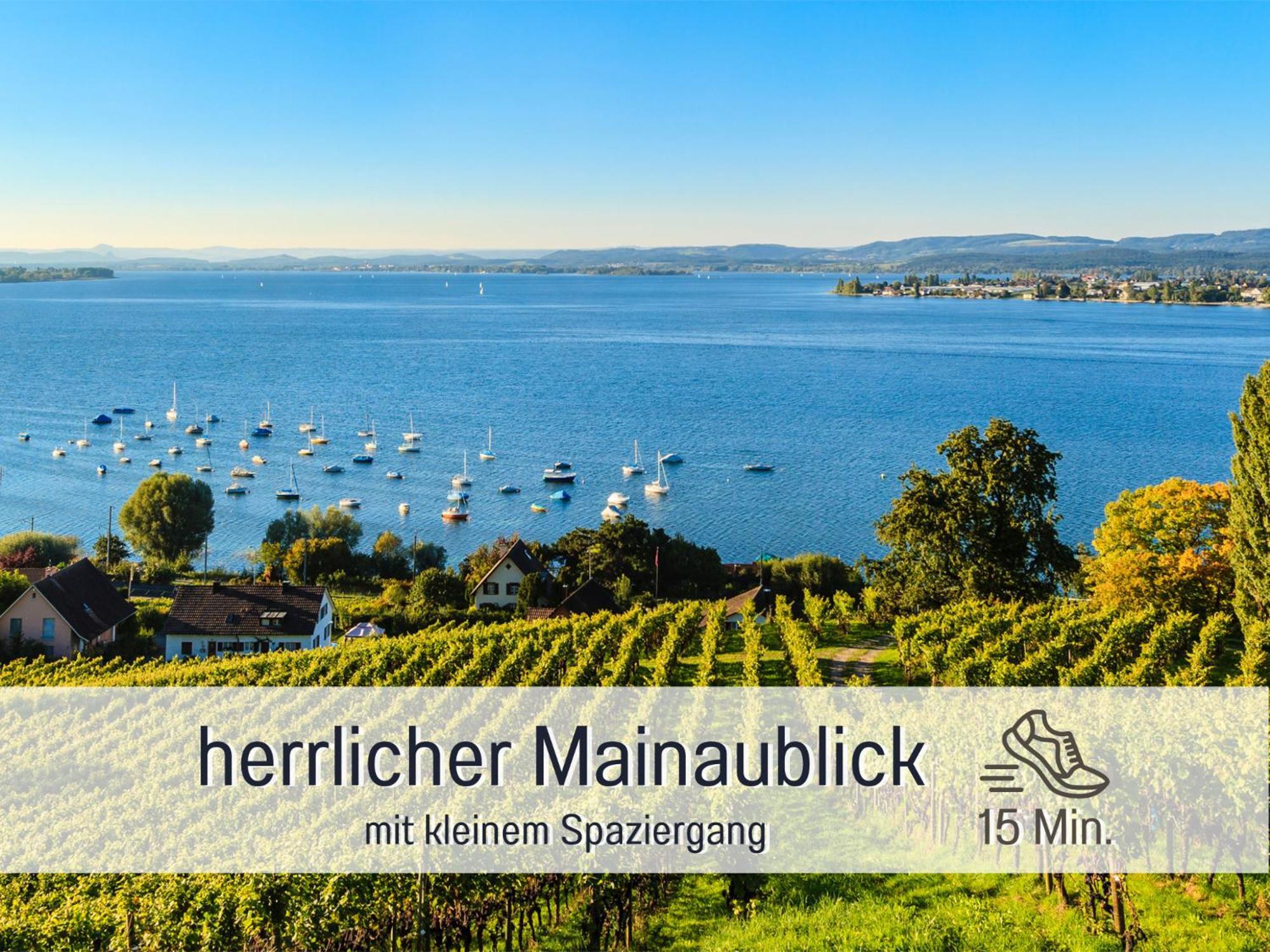 Sonnenterrasse - 3 Schlafzimmer, Whirlpool & Alpenblick - Perfekt Fuer Romantik Oder Familienurlaub Mit Kind , Hund Willkommen By Ferienwohnenamsee - Иберлинген Экстерьер фото