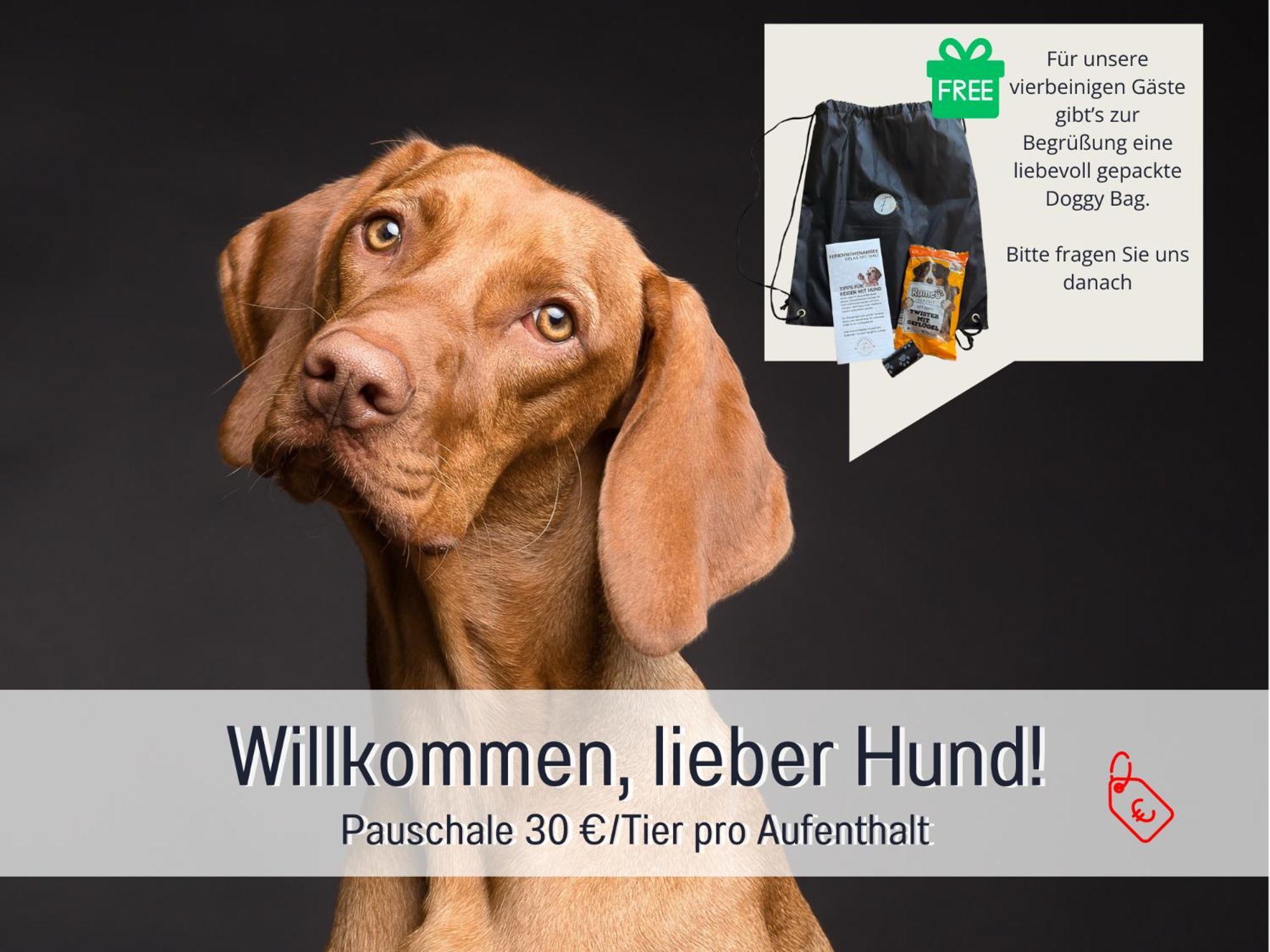 Sonnenterrasse - 3 Schlafzimmer, Whirlpool & Alpenblick - Perfekt Fuer Romantik Oder Familienurlaub Mit Kind , Hund Willkommen By Ferienwohnenamsee - Иберлинген Экстерьер фото
